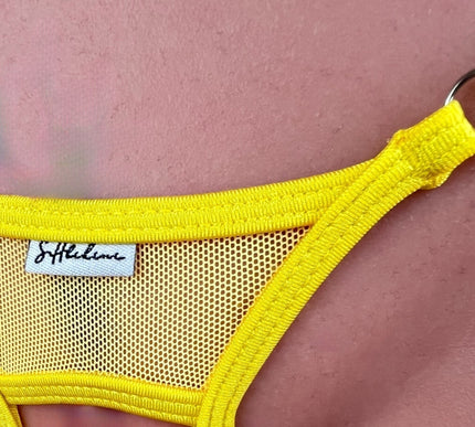 Luxury Plug-Compatible Thong - Exclusive Open Back String | SHbikini