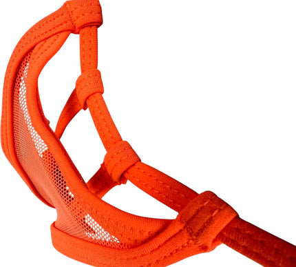 Men's Sexy Orange Micro Thong Mesh Bikini Underwear 501-5S